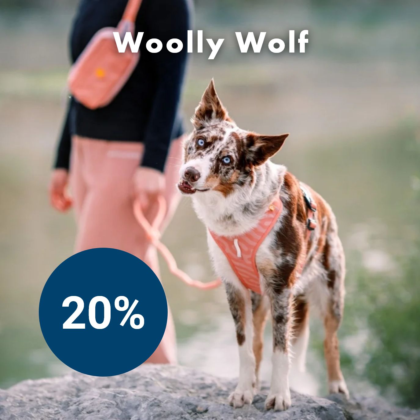 Kampanje Woolly wolf