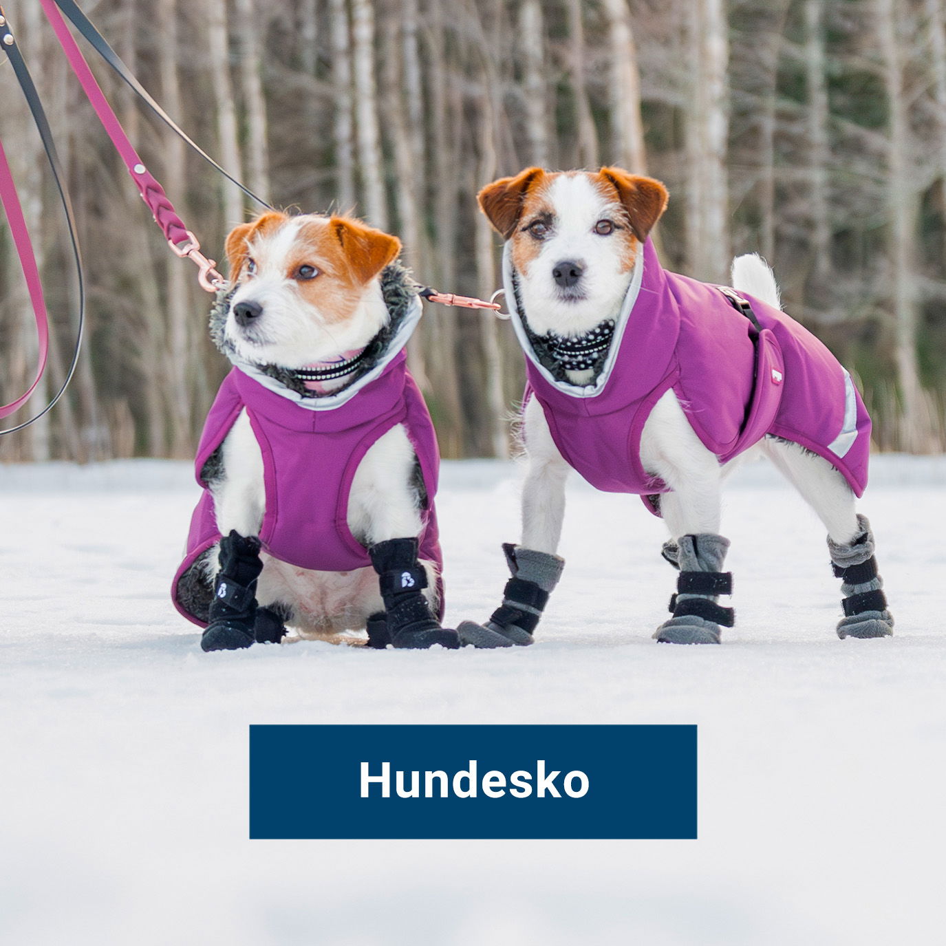 Hundesko