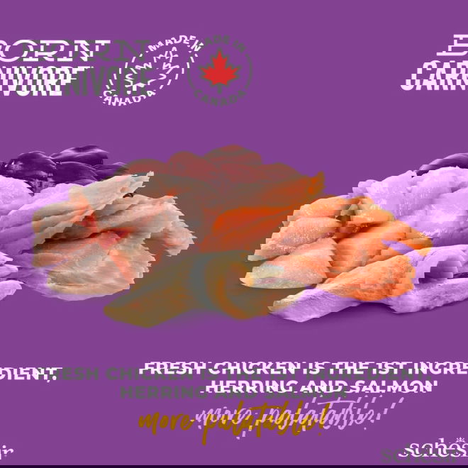Schesir Born Carnivore Chicken & Herring