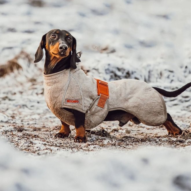 Siccaro Supreme 2.0 Badekåpe til Hund Beige