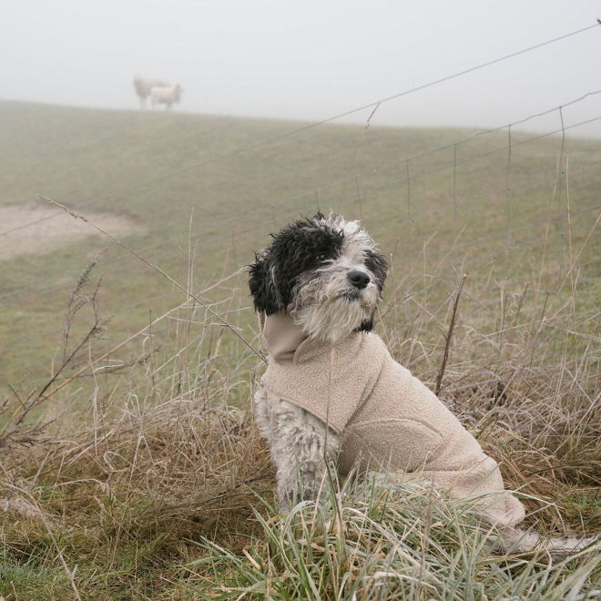 Cloud7 Gotland Hundedekken Beige