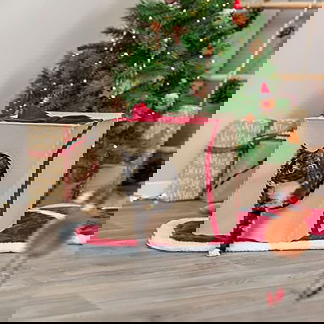 Trixie Xmas Hundkoja/Kattkoja Julklapp i Filt