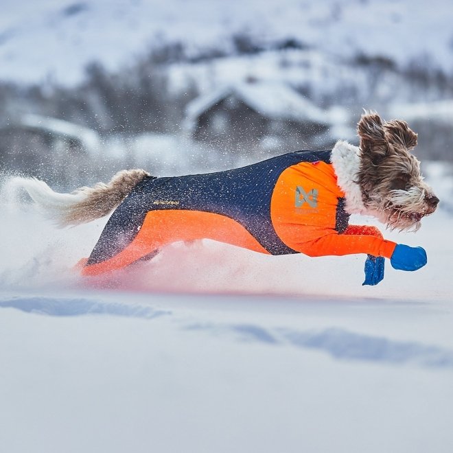 Non-stop Dogwear Protector Snow Hundeoverall Svart & Oransje