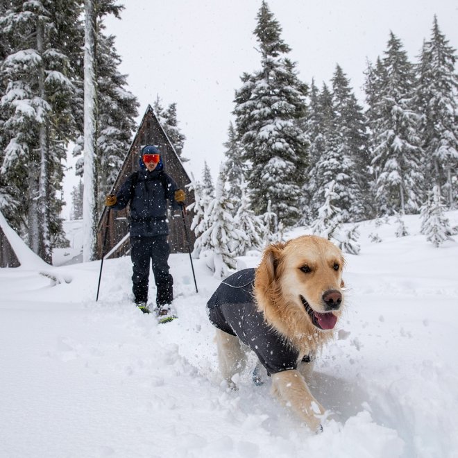 Ruffwear Cloud Chaser Hundejakke Svart