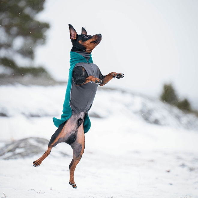 Pomppa Jumppa Hundedekken Blågrønn