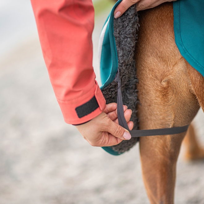 Pomppa Perus Hundedekken til Sele Blå/grønn