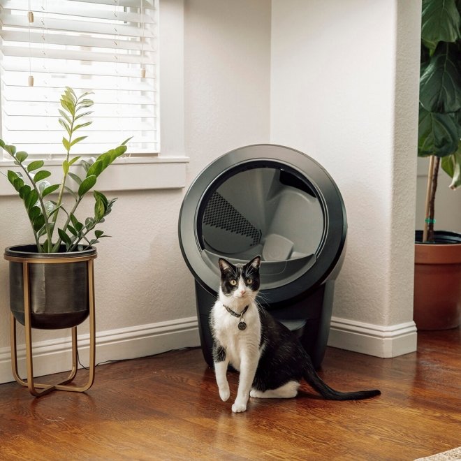 Whisker Litter-Robot 4 Selvrengjørende Kattetoalett Svart