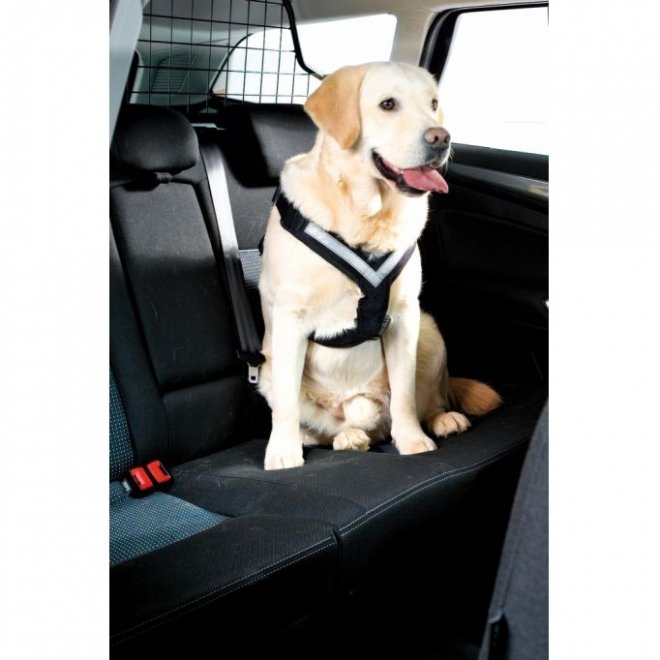 MiM All Safe bilsele (L) Hund - Hundebur - Bilbelte hund