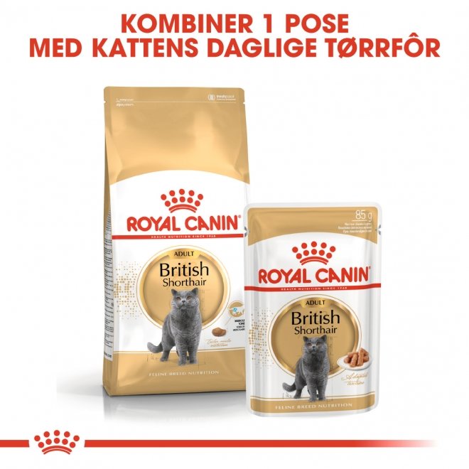 Royal Canin British Shorthair Wet (12x85g)