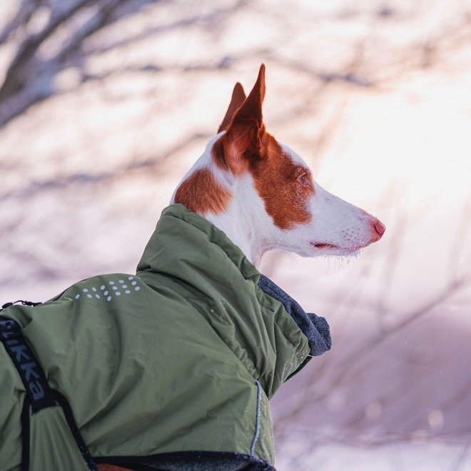 Rukka Warmup 2.0 Hundedekke Grønn