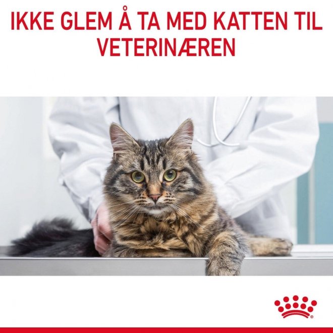 Royal Canin Digestive Care