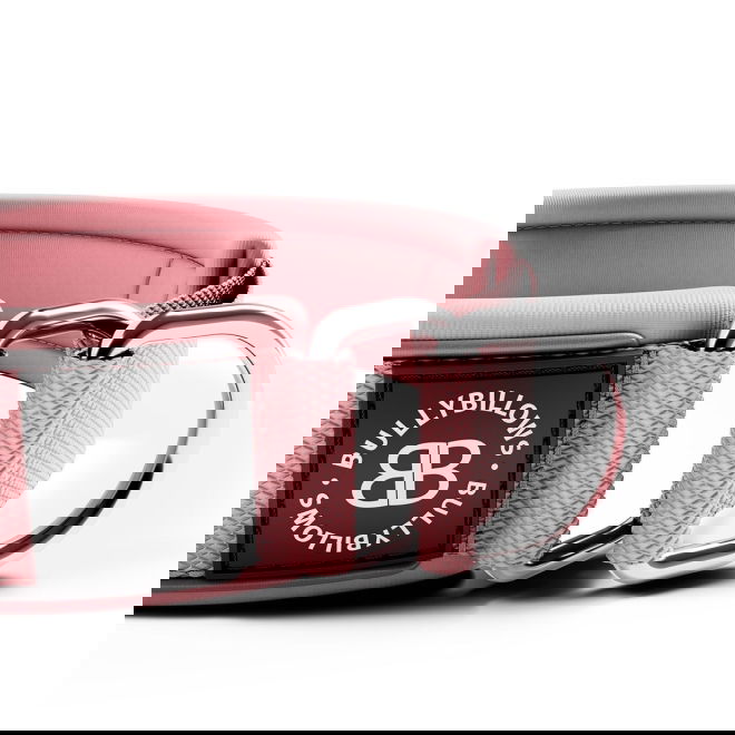 BullyBillows Hundehalsbånd Halvstrup Reflekterende Rosa 4 cm