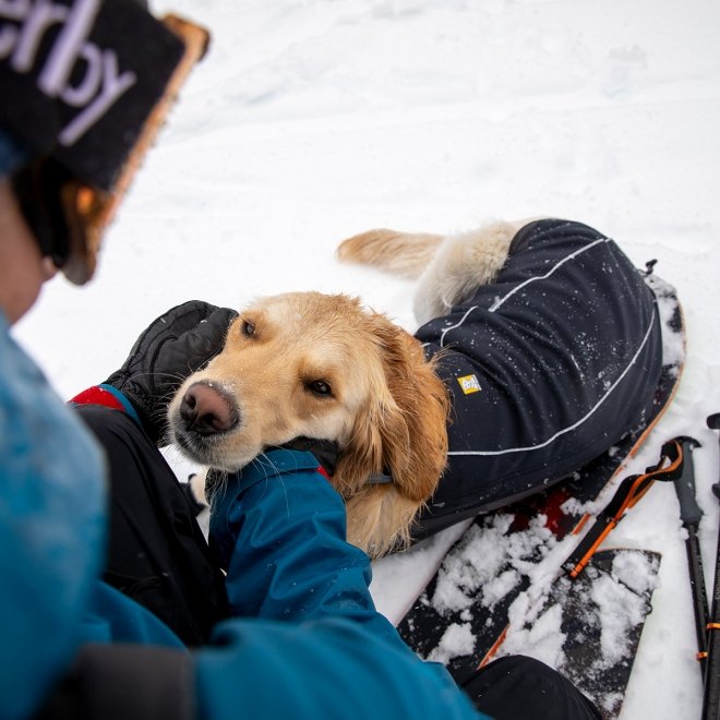 Ruffwear Cloud Chaser Hundejakke Svart