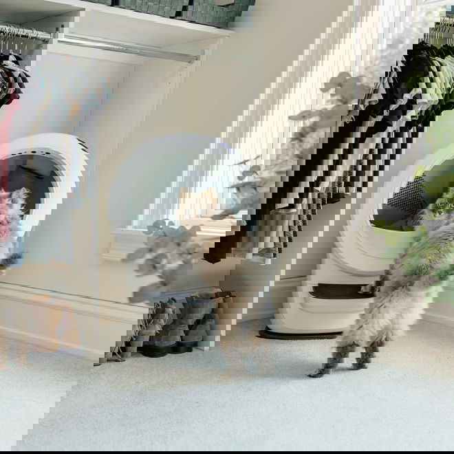 Whisker Litter-Robot 4 Vit