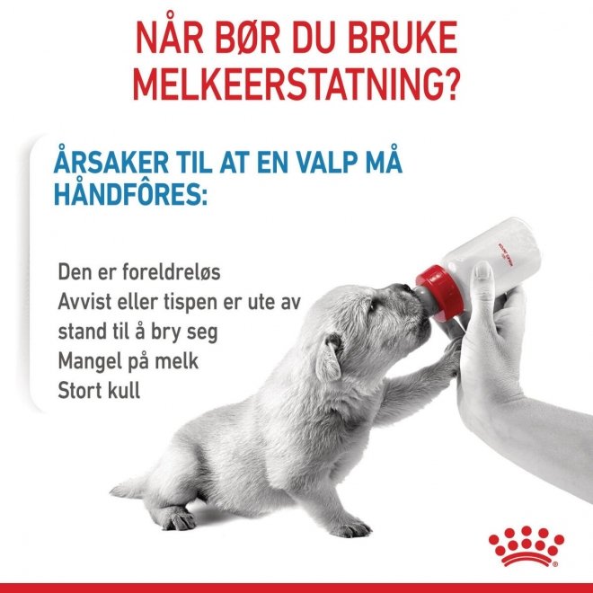 Royal Canin Babydog Milk