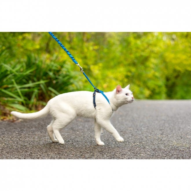 PetSafe Easy Walk Sele + Bånd til Katt Blå