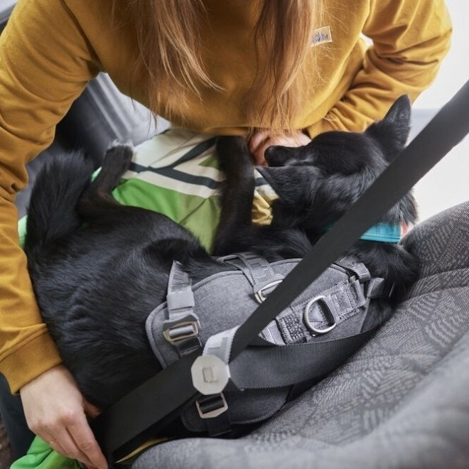 Hurtta Travel Harness ECO Bilsele Svart