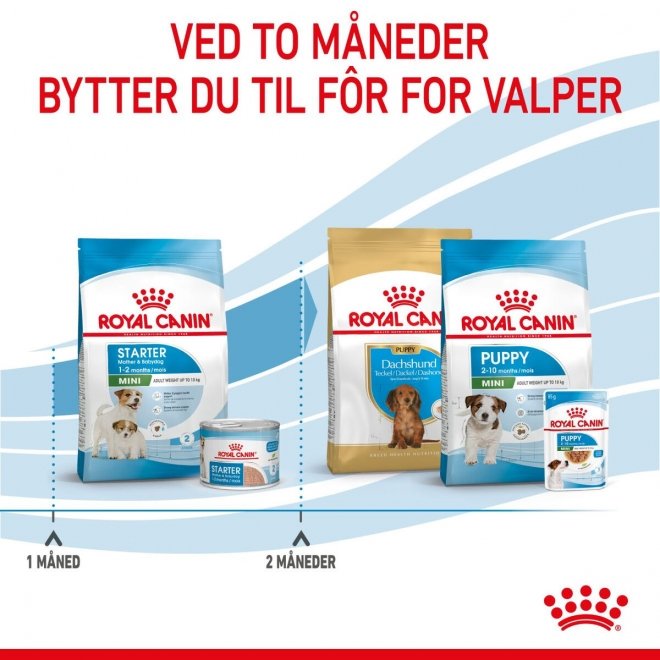 Royal Canin Mini Starter Mother & Babydog