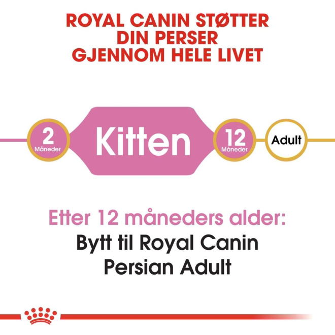 Royal Canin Kitten Persian