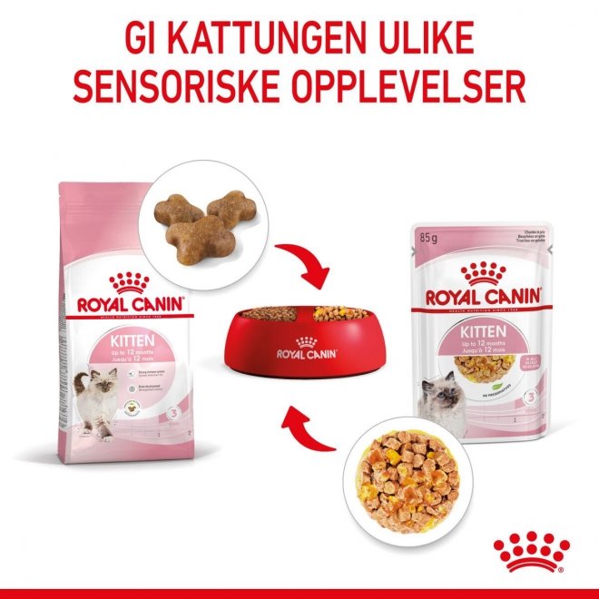 Royal Canin Kitten Jelly 12x85 g