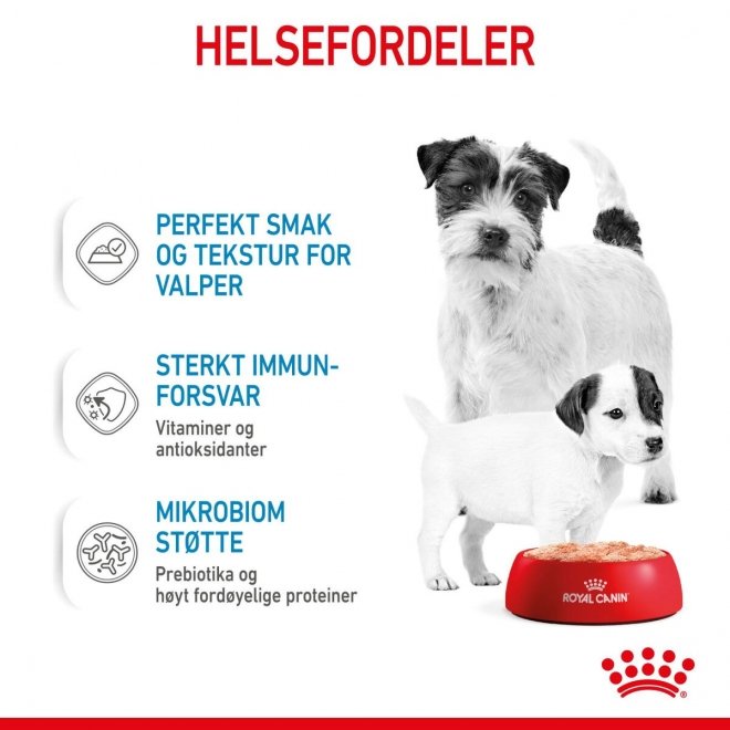 Royal Canin Starter Mother & Babydog 195 g