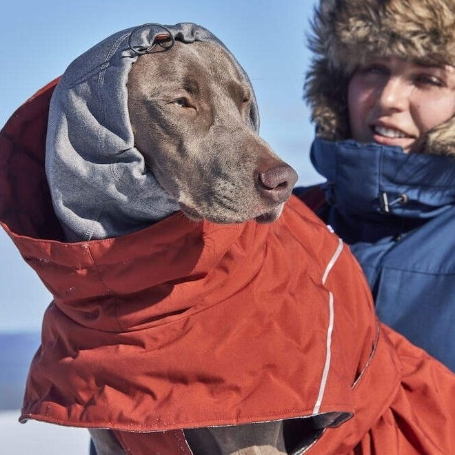 Hurtta Extreme Warmer III ECO Hundejakke Lysebrun