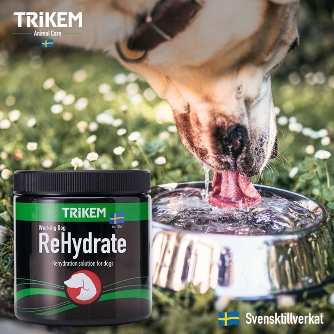 Trikem WorkingDog Rehydrate 400 g