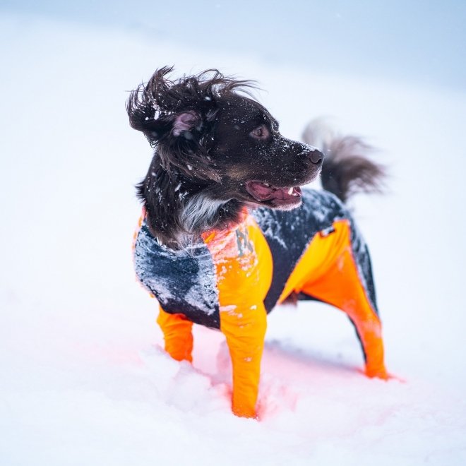 Non-stop Dogwear Protector Snow Hundeoverall Svart & Oransje