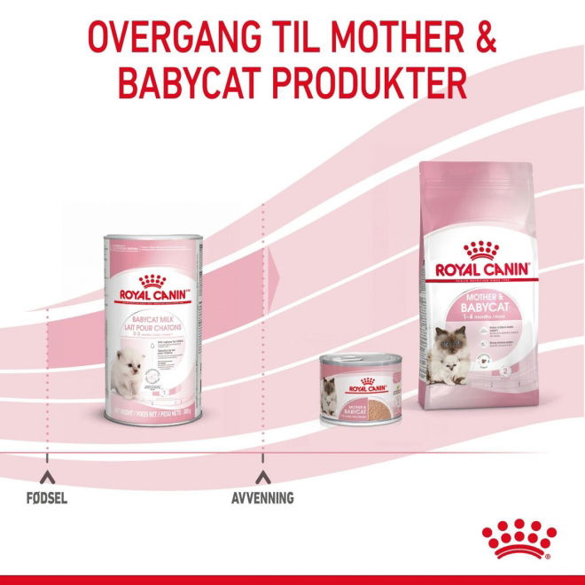 Royal Canin Babycat Milk