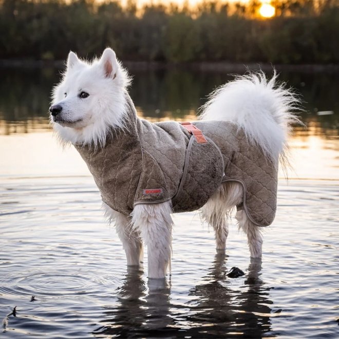 Siccaro Supreme 2.0 Badekåpe til Hund Beige