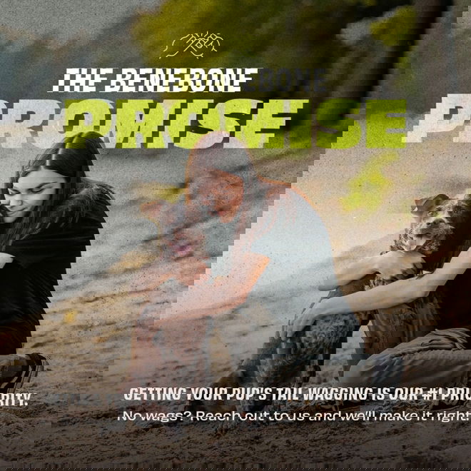 Benebone Bounce Cone Aktiveringsleke i Gummi