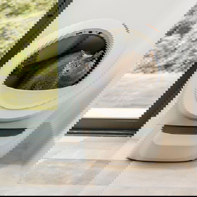 Whisker Litter-Robot 4 Vit