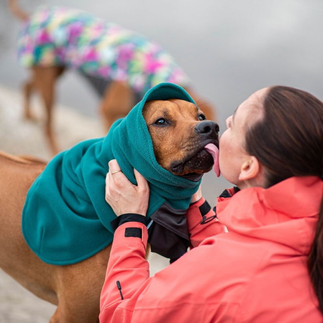 Pomppa Jumppa Hundedekken Blågrønn