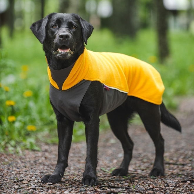 Pomppa Jumppa Fleecetrøye Hund Gul