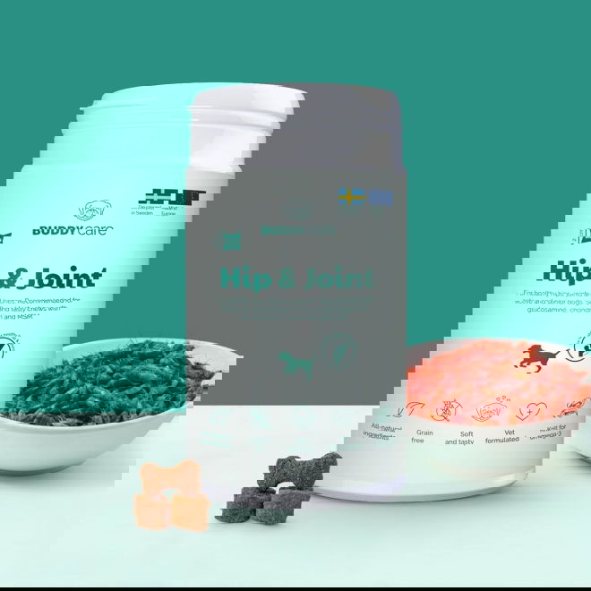 Buddy Care Hip & Joint 150 g