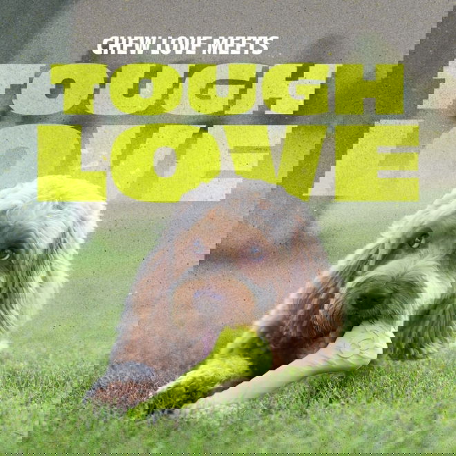 Benebone Bounce Bone Tyggeleker i Gummi