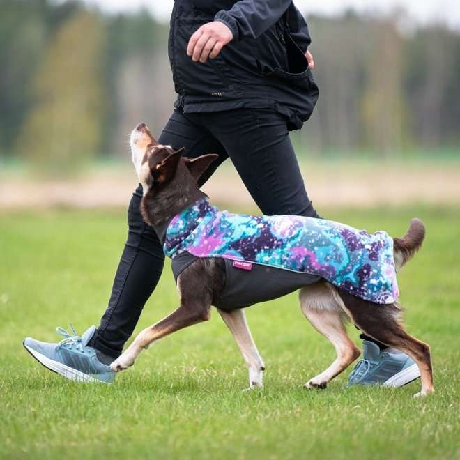 Pomppa Jumppa Fleecetrøye Hund Lilla & Blå