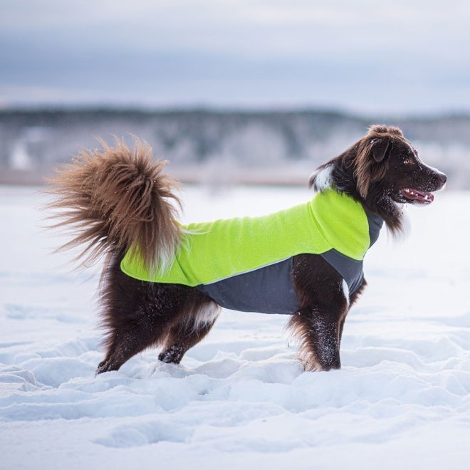 Pomppa Jumppa Fleecetrøye Hund Grøn