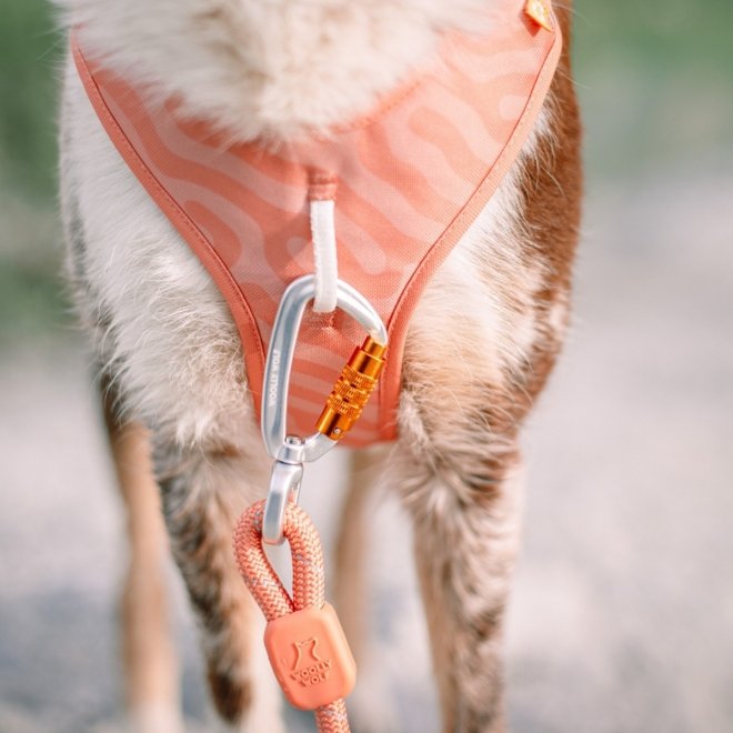 Woolly Wolf Roam Hundesele Rosa