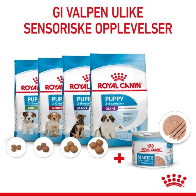 Royal Canin Starter Mother & Babydog 195 g