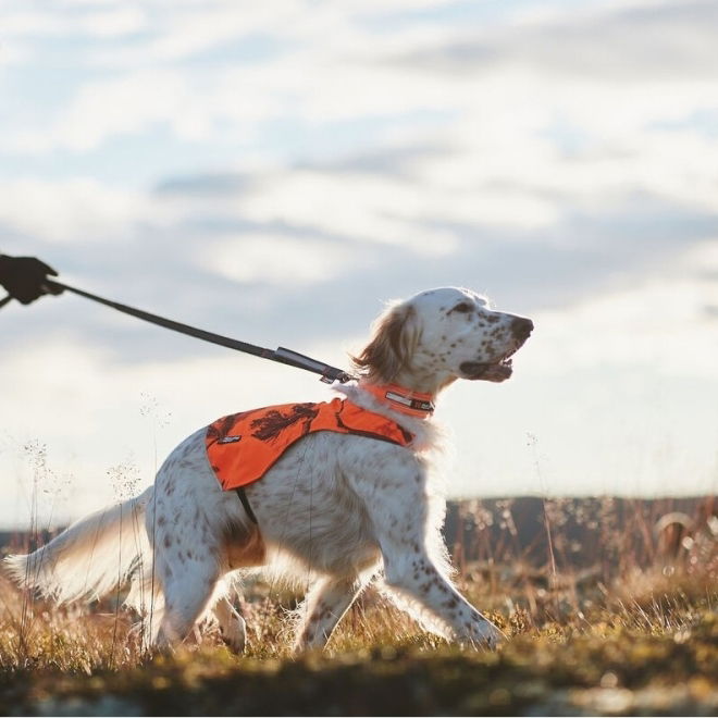 Non-Stop Dogwear Camo Hundevest Oransje