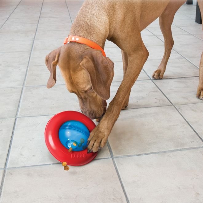 KONG Gyro Ball Large