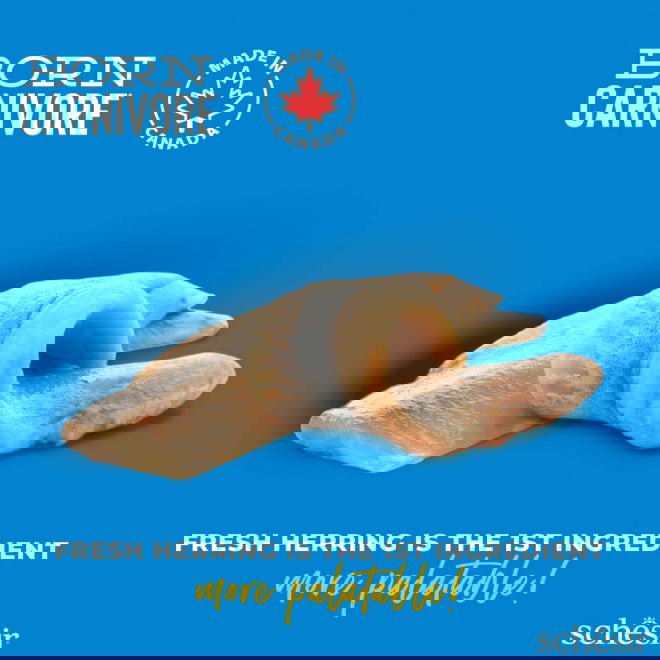 Schesir Born Carnivore Herring & Salmon