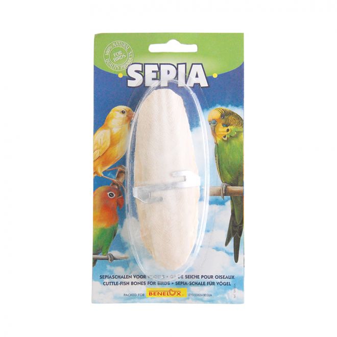 Benelux Sepiaskall