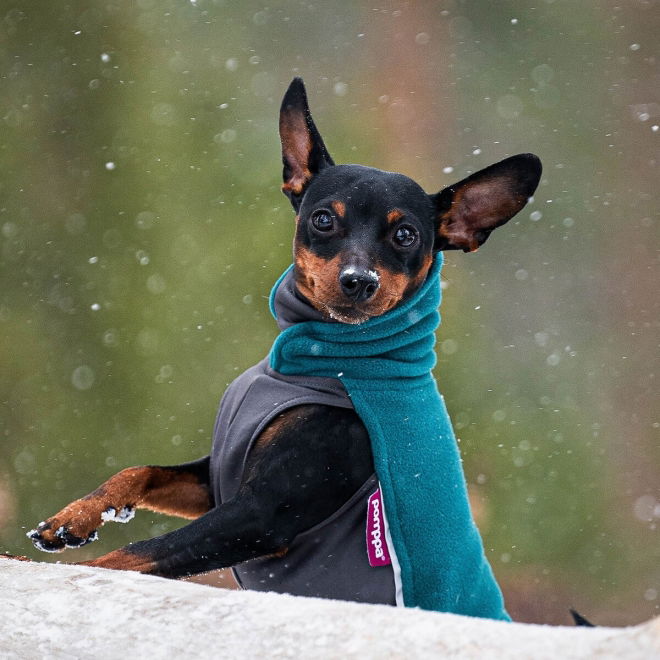 Pomppa Jumppa Hundedekken Blågrønn