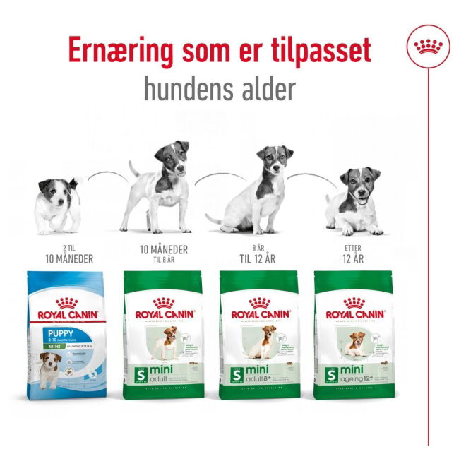 Royal Canin Mini Adult 8+