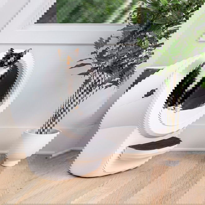 Whisker LitterHopper Kattesandsautomat Whisker till Litter-Robot 4 (Hvit)