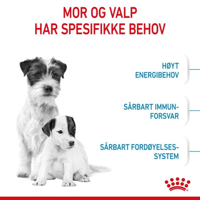 Royal Canin Mini Starter Mother & Babydog