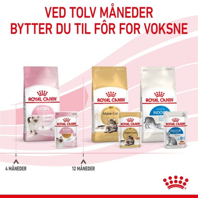 Royal Canin Kitten Jelly 12x85 g