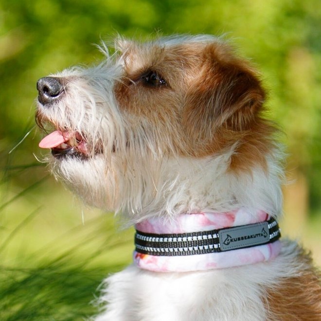 Kusse & Kutta Hundhalsband Bred Myk Lysrosa